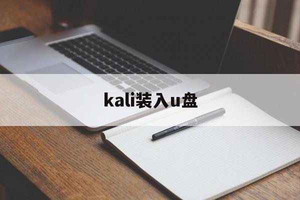 kali装入u盘（U盘装kali）