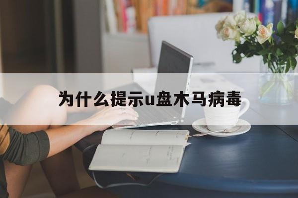为什么提示u盘木马病毒（u盘中了木马病毒无法打开文件）