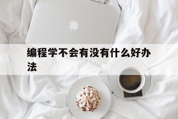 编程学不会有没有什么好办法（不学编程会怎么样）