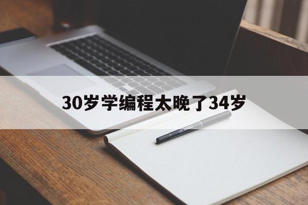 30岁学编程太晚了34岁（33岁开始学编程）