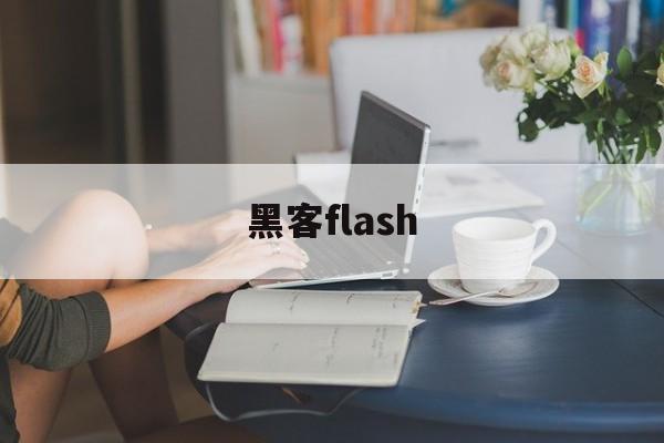 黑客flash（黑客帝国4）