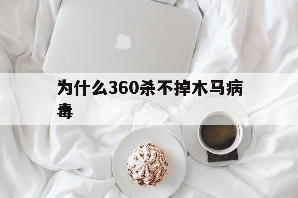 为什么360杀不掉木马病毒（360杀不了木马病毒）