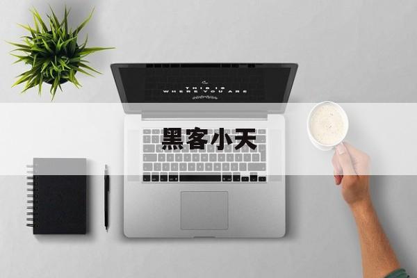 黑客小天（黑客小天才和律师的故事）