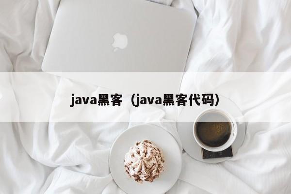 java黑客（java黑客代码）