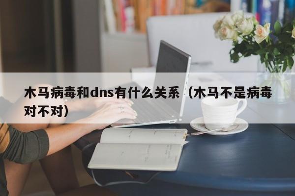 木马病毒和dns有什么关系（木马不是病毒对不对）