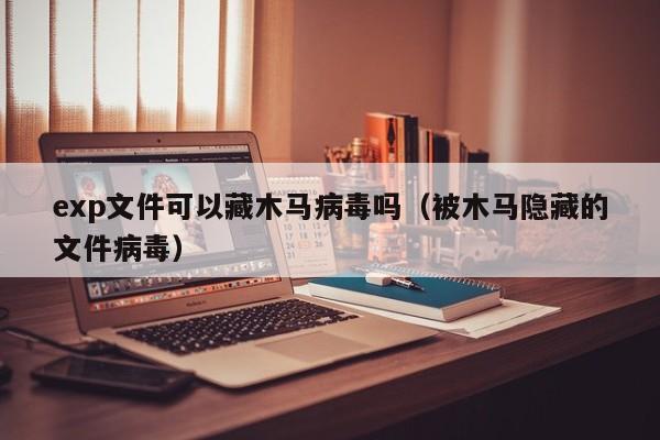 exp文件可以藏木马病毒吗（被木马隐藏的文件病毒）