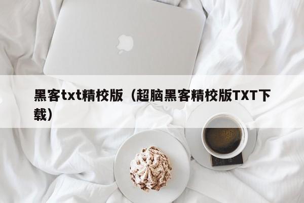 黑客txt精校版（超脑黑客精校版TXT下载）