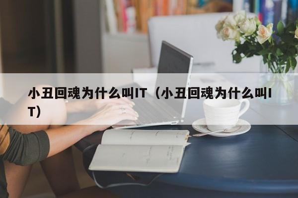 小丑回魂为什么叫IT（小丑回魂为什么叫IT）