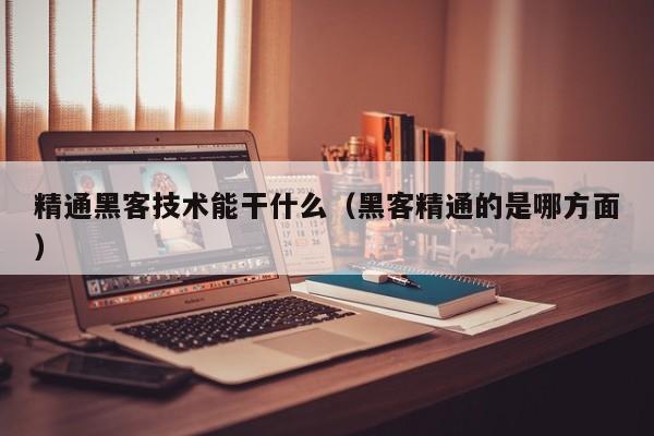 精通黑客技术能干什么（黑客精通的是哪方面）