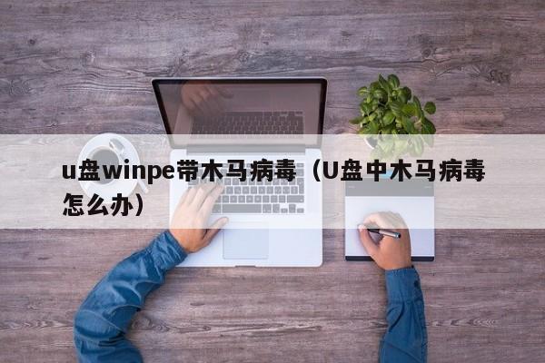 u盘winpe带木马病毒（U盘中木马病毒怎么办）