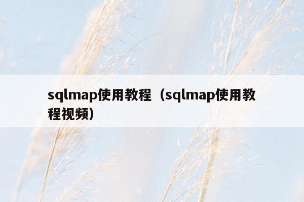 sqlmap使用教程（sqlmap使用教程视频）