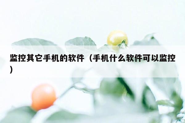 监控其它手机的软件（手机什么软件可以监控）