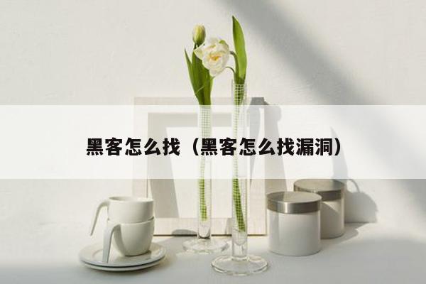 黑客怎么找（黑客怎么找漏洞）