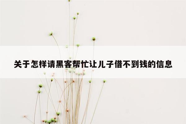 关于怎样请黑客帮忙让儿子借不到钱的信息