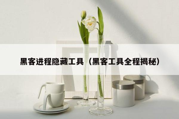 黑客进程隐藏工具（黑客工具全程揭秘）