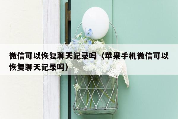 微信可以恢复聊天记录吗（苹果手机微信可以恢复聊天记录吗）