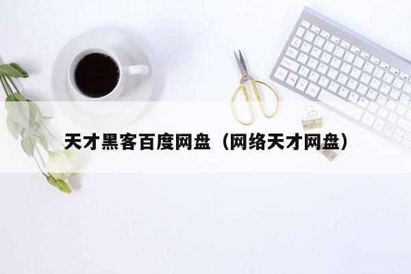 天才黑客百度网盘（网络天才网盘）