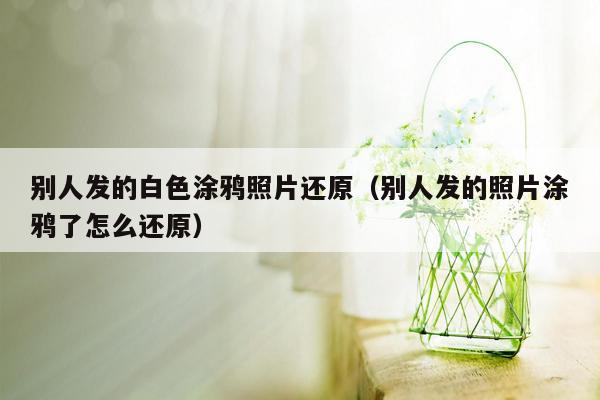 别人发的白色涂鸦照片还原（别人发的照片涂鸦了怎么还原）