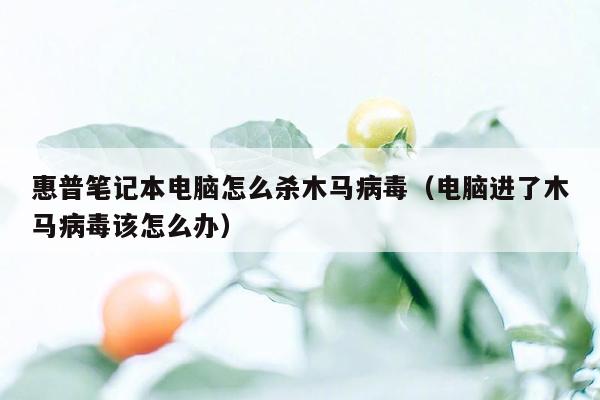 惠普笔记本电脑怎么杀木马病毒（电脑进了木马病毒该怎么办）