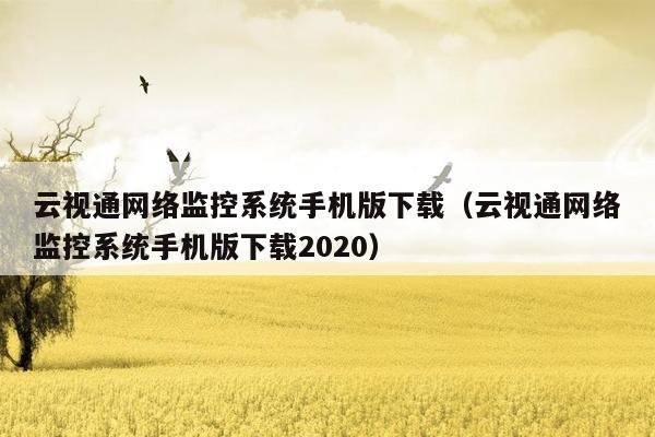 云视通网络监控系统手机版下载（云视通网络监控系统手机版下载2020）