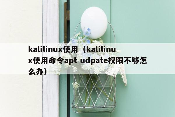 kalilinux使用（kalilinux使用命令apt udpate权限不够怎么办）