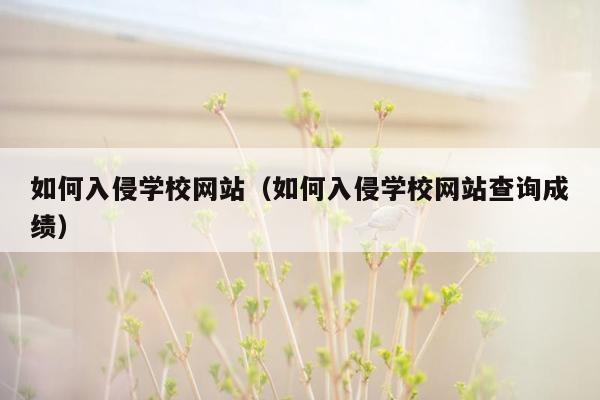 如何入侵学校网站（如何入侵学校网站查询成绩）