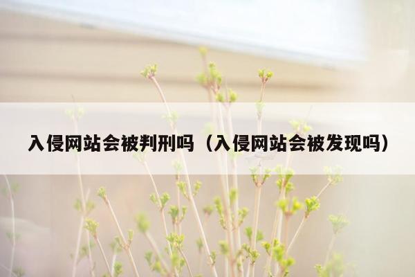 入侵网站会被判刑吗（入侵网站会被发现吗）