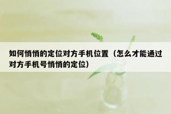 如何悄悄的定位对方手机位置（怎么才能通过对方手机号悄悄的定位）