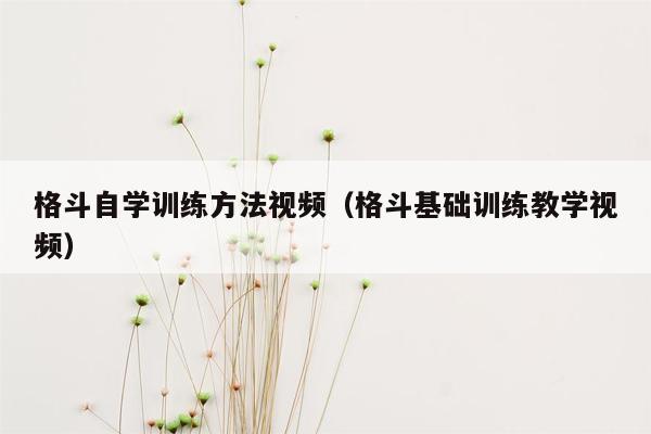 格斗自学训练方法视频（格斗基础训练教学视频）