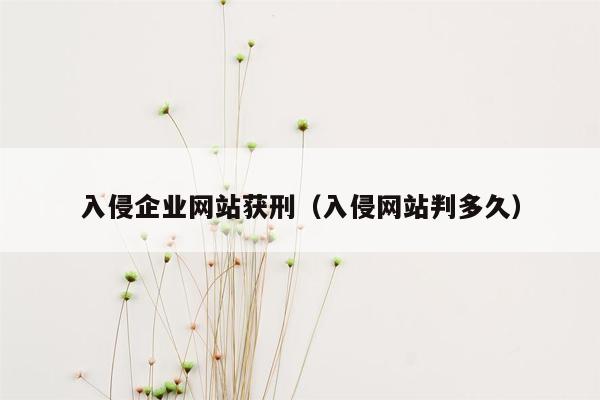 入侵<strong>企业网站</strong>获刑（入侵网站判多久）