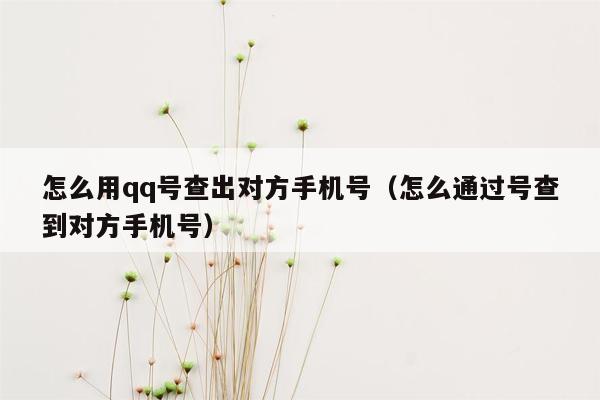 怎么用qq号查出对方手机号（怎么通过号查到对方手机号）