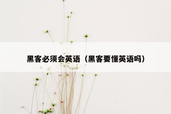 黑客必须会英语（黑客要懂英语吗）