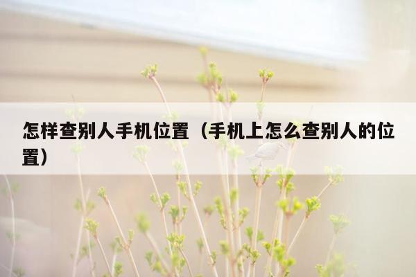 怎样查别人手机位置（手机上怎么查别人的位置）