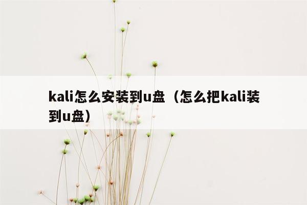 kali怎么安装到u盘（怎么把kali装到u盘）