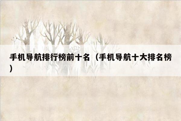 手机导航排行榜前十名（手机导航十大排名榜）