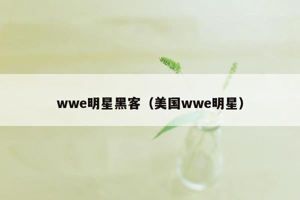 wwe明星黑客（美国wwe明星）