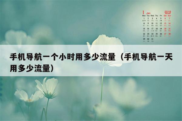 手机导航一个小时用多少流量（手机导航一天用多少流量）