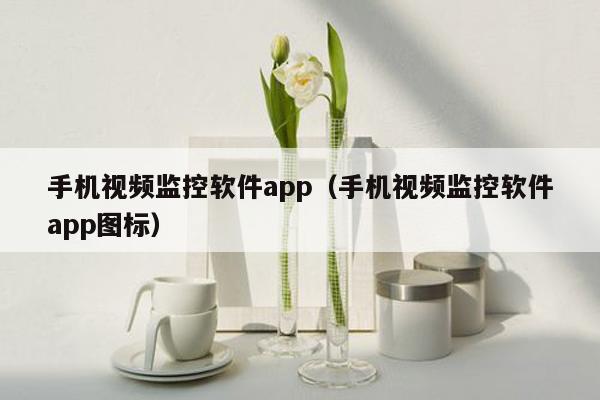 手机视频监控软件app（手机视频监控软件app图标）