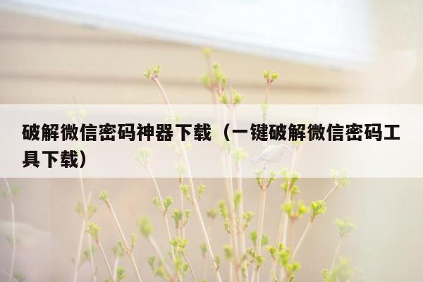 破解微信密码神器下载（一键破解微信密码工具下载）