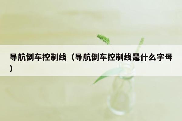 导航倒车控制线（导航倒车控制线是什么字母）