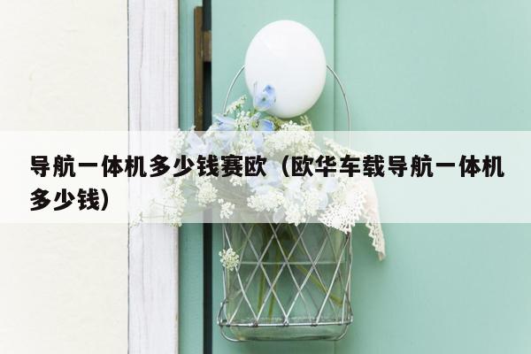 导航一体机多少钱赛欧（欧华车载导航一体机多少钱）