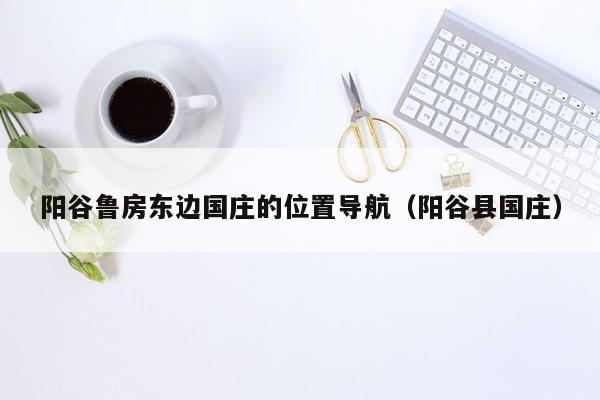 阳谷鲁房东边国庄的位置导航（阳谷县国庄）