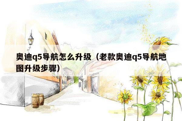 奥迪q5导航怎么升级（老款奥迪q5导航地图升级步骤）