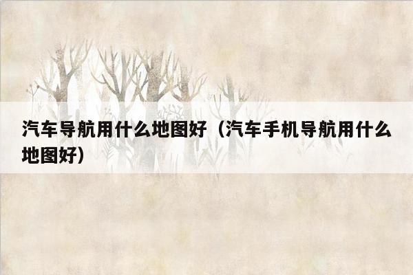 汽车导航用什么地图好（汽车手机导航用什么地图好）