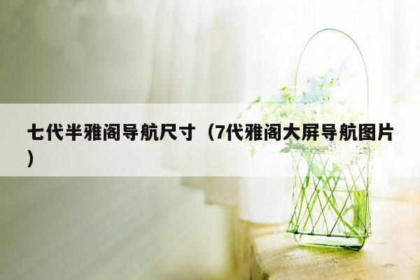 七代半雅阁导航尺寸（7代雅阁大屏导航图片）