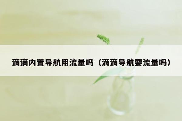 滴滴内置导航用流量吗（滴滴导航要流量吗）