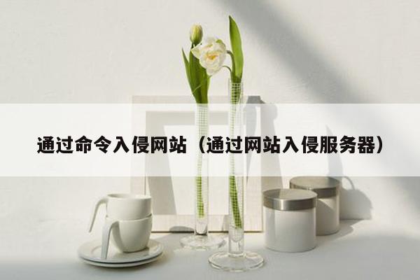 通过命令入侵网站（通过网站入侵服务器）