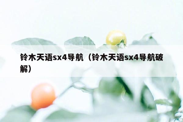 铃木天语sx4导航（铃木天语sx4导航破解）
