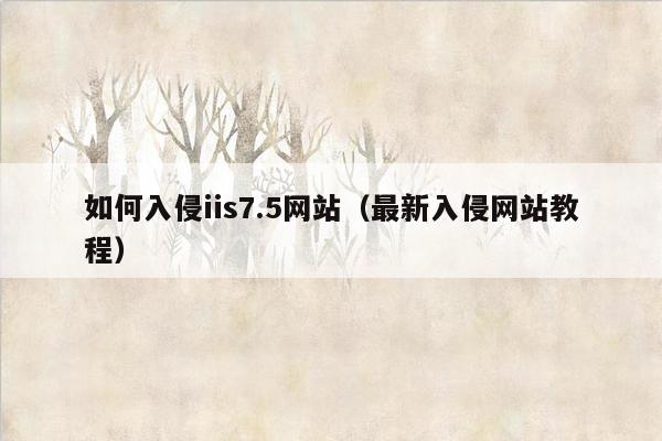 如何入侵iis7.5网站（最新入侵网站教程）