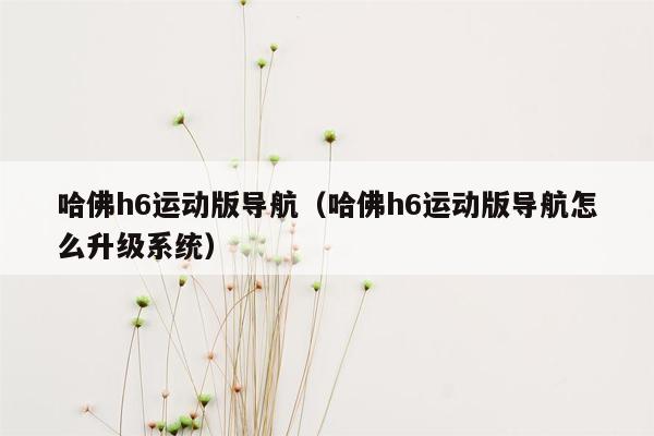 哈佛h6运动版导航（哈佛h6运动版导航怎么升级系统）